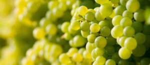 AdobeStock 553833608 scaled