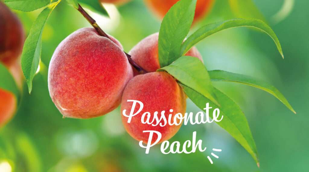 ANNOUNCING 2024 AS THE YEAR OF THE PEACH 65 Passionate peach scaled