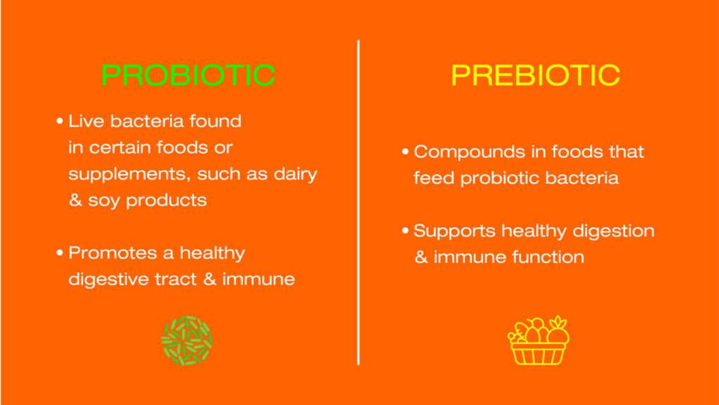 Probiotics vs. Prebiotics 2048x1153