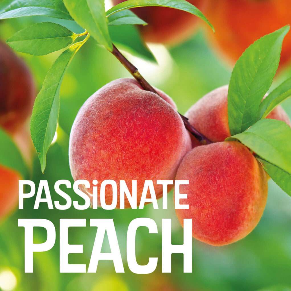 peach2 2043x2048