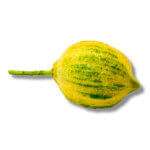 Variegated Lemon