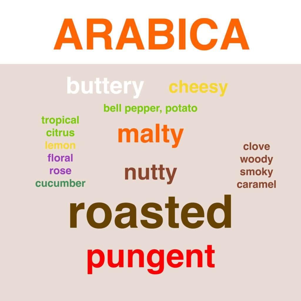 key aroma types scaled