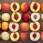 Over 3000 varieties