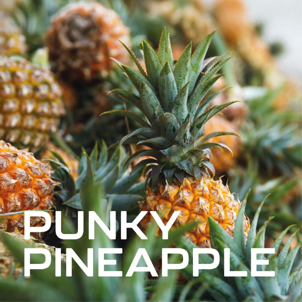 A close up of several ripe pineapples with spiky green leaves. Bold white text in the lower left corner reads “PUNKY PINEAPPLE.”.