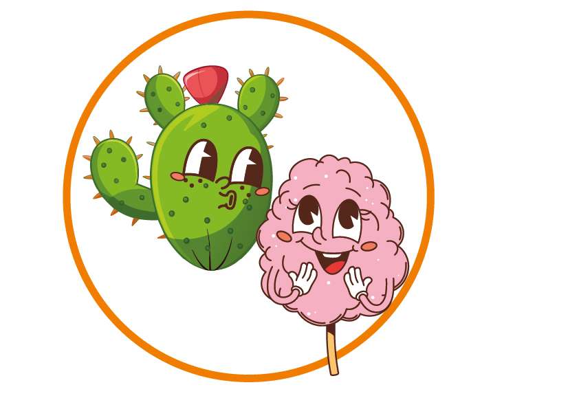 A cartoon cactus with a red flower and a smiling pink cotton candy, both with expressive faces, stand inside an orange circle on a white background, hinting at a sweet flavour adventure.