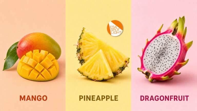 Three fruits on colored backgrounds: diced mango with leaves, pineapple wedges, and a halved dragonfruit with white flesh and black seeds. Text below each fruit labels them as Mango, Pineapple, and Dragonfruit, highlighting the vibrant colours and unique flavour of each fruit.