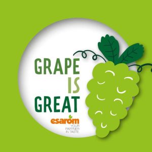 GreatGrape SLIDER8 768x768